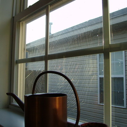 A fabulous spiderweb in the kitchen window