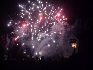 It's amazing that Epcot can put on a fireworks show like this every single night.