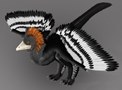dinosaur_feathers2-660x460